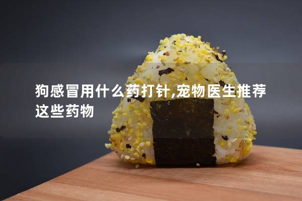 狗感冒用什么藥打針,寵物醫生推薦這些藥物 狗感冒用什么藥打針,寵物醫生推薦這些藥物