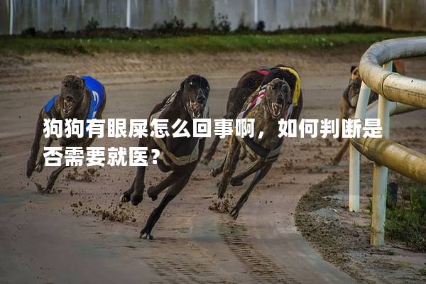 狗狗有眼屎怎么回事啊，如何判斷是否需要就醫(yī)？