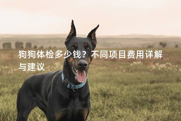 狗狗體檢多少錢？不同項目費用詳解與建議