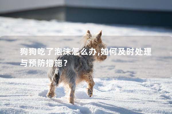 狗狗吃了泡沫怎么辦,如何及時處理與預防措施？
