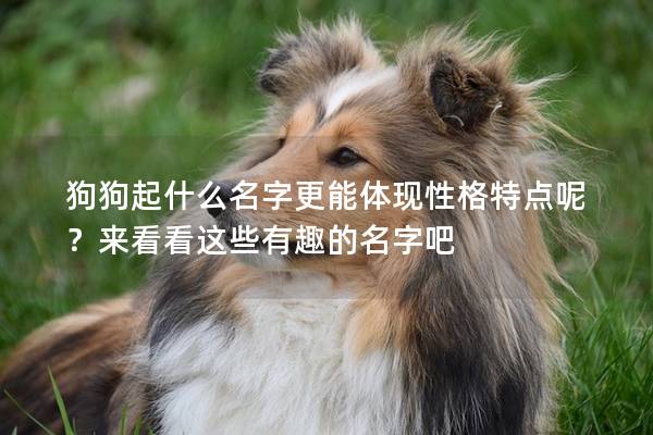 狗狗起什么名字更能體現性格特點呢？來看看這些有趣的名字吧