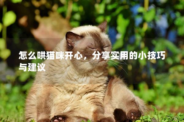 怎么哄貓咪開心，分享實用的小技巧與建議