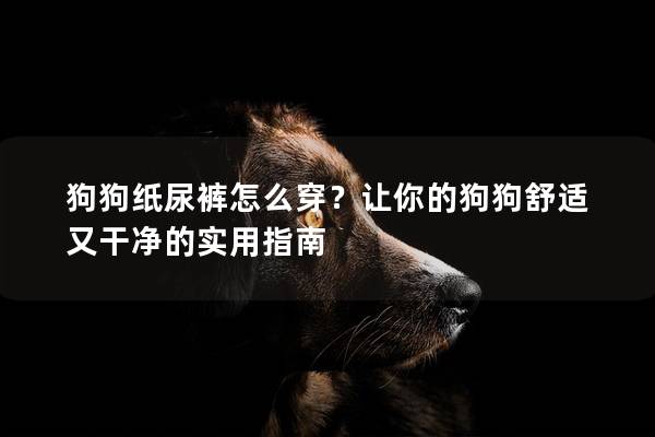 狗狗紙尿褲怎么穿？讓你的狗狗舒適又干凈的實用指南