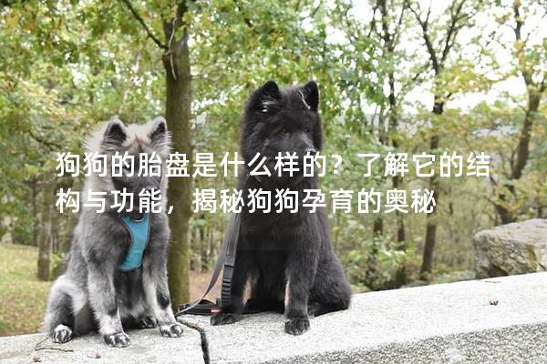 狗狗的胎盤是什么樣的？了解它的結(jié)構(gòu)與功能，揭秘狗狗孕育的奧秘