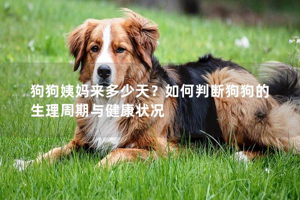 狗狗姨媽來多少天？如何判斷狗狗的生理周期與健康狀況