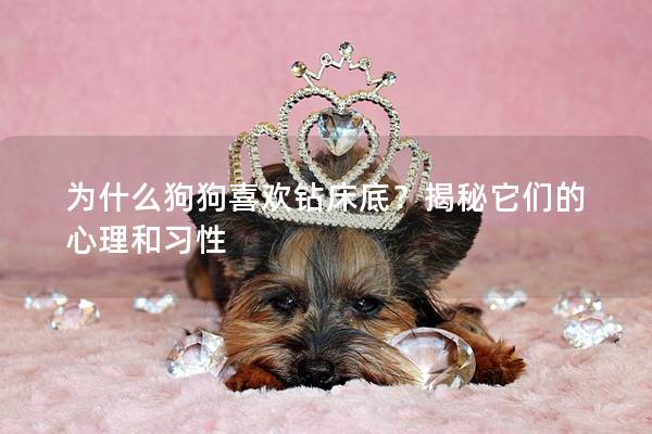 為什么狗狗喜歡鉆床底？揭秘它們的心理和習性