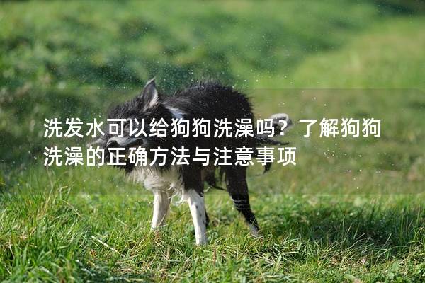 洗發(fā)水可以給狗狗洗澡嗎？了解狗狗洗澡的正確方法與注意事項(xiàng)