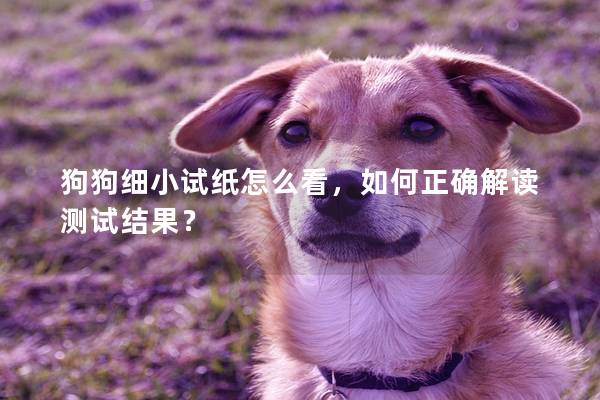 狗狗細小試紙怎么看，如何正確解讀測試結果？