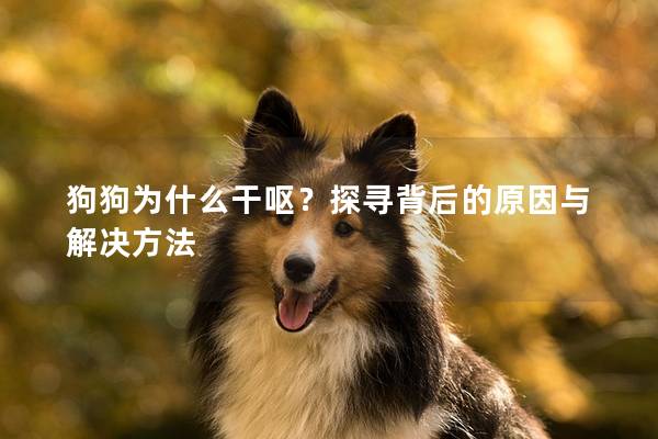 狗狗為什么干嘔？探尋背后的原因與解決方法