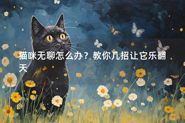 貓咪無聊怎么辦？教你幾招讓它樂翻天