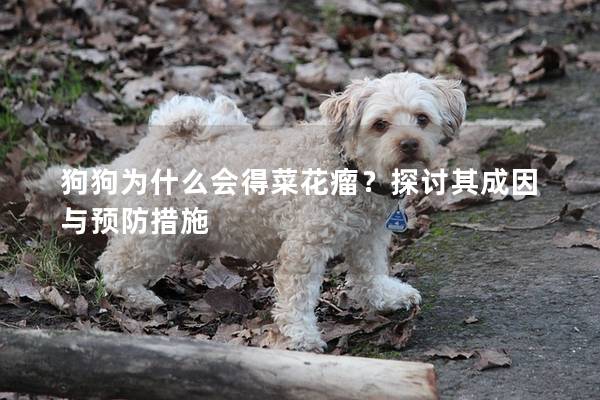 狗狗為什么會得菜花瘤？探討其成因與預防措施