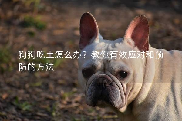狗狗吃土怎么辦?教你有效應(yīng)對(duì)和預(yù)防的方法 狗狗吃土怎么辦?教你有效應(yīng)對(duì)和預(yù)防的方法