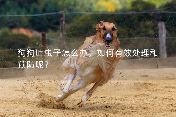 狗狗吐蟲子怎么辦，如何有效處理和預防呢？