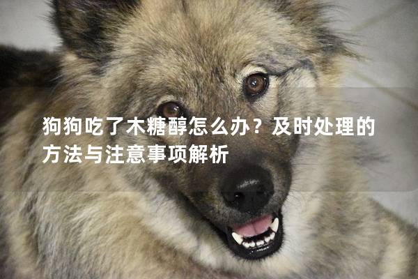 狗狗吃了木糖醇怎么辦？及時(shí)處理的方法與注意事項(xiàng)解析