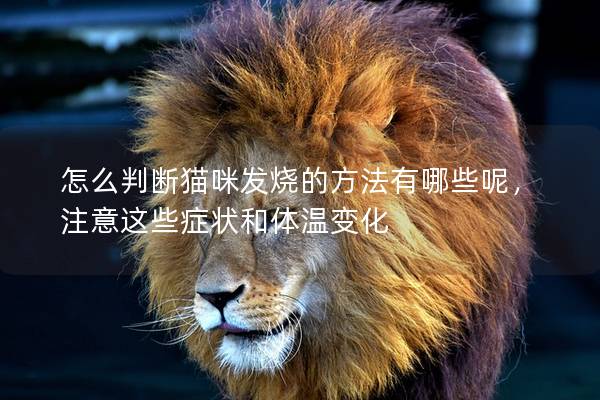怎么判斷貓咪發燒的方法有哪些呢，注意這些癥狀和體溫變化