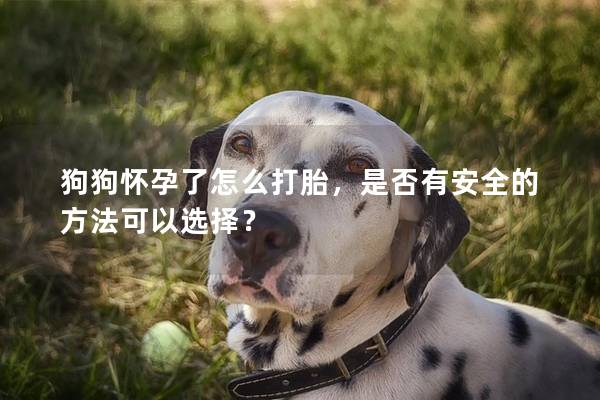 狗狗懷孕了怎么打胎，是否有安全的方法可以選擇？