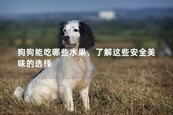狗狗能吃哪些水果，了解這些安全美味的選擇