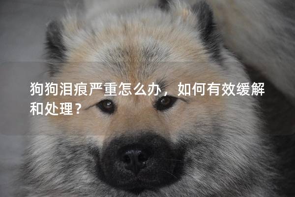 狗狗淚痕嚴重怎么辦，如何有效緩解和處理？