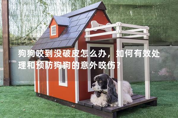 狗狗咬到沒破皮怎么辦，如何有效處理和預防狗狗的意外咬傷？