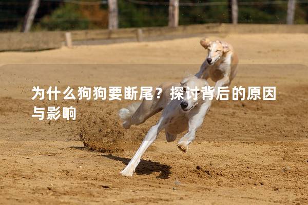 為什么狗狗要斷尾？探討背后的原因與影響