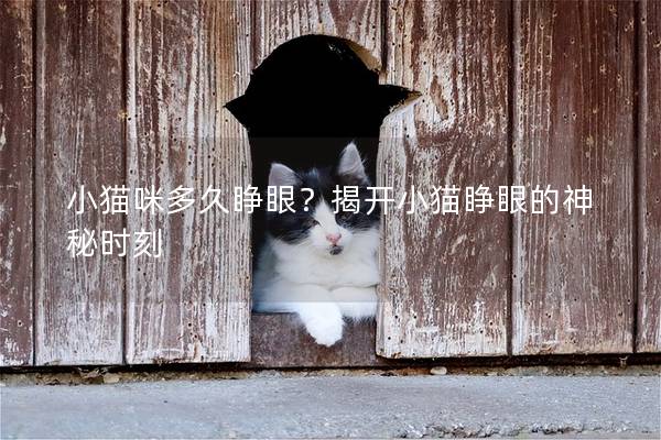 小貓咪多久睜眼？揭開小貓睜眼的神秘時刻