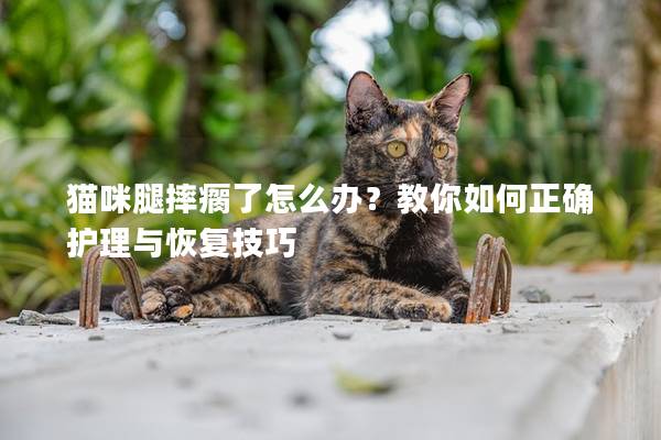 貓咪腿摔瘸了怎么辦?教你如何正確護(hù)理與恢復(fù)技巧 貓咪腿摔瘸了怎么辦?教你如何正確護(hù)理與恢復(fù)技巧