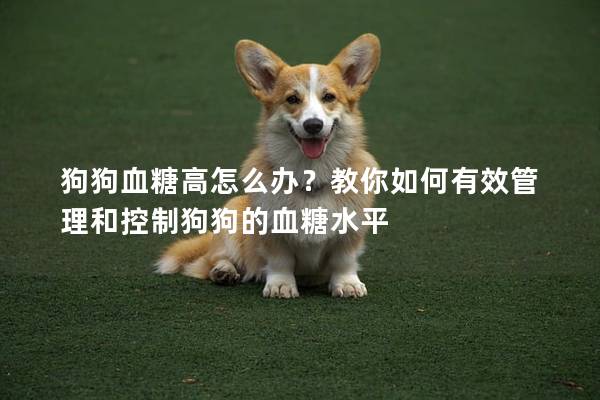 狗狗血糖高怎么辦？教你如何有效管理和控制狗狗的血糖水平