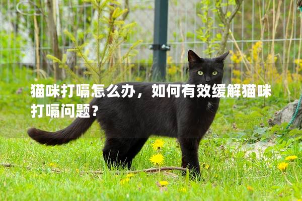 貓咪打嗝怎么辦，如何有效緩解貓咪打嗝問題？