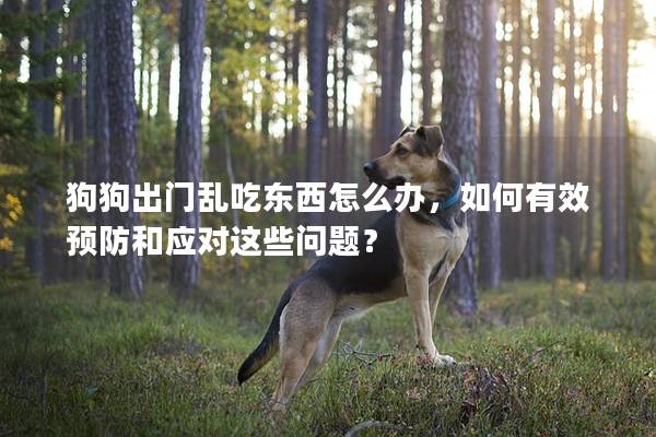 狗狗出門亂吃東西怎么辦，如何有效預防和應對這些問題？
