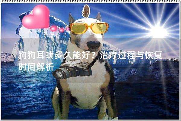 狗狗耳螨多久能好？治療過程與恢復時間解析