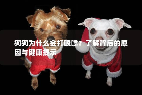狗狗為什么會打噴嚏？了解背后的原因與健康提示