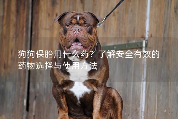 狗狗保胎用什么藥？了解安全有效的藥物選擇與使用方法