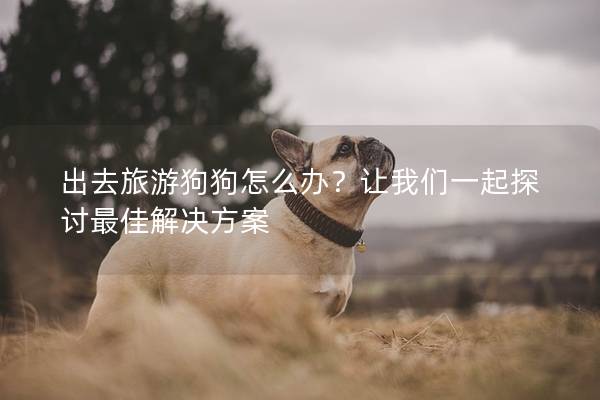 出去旅游狗狗怎么辦？讓我們一起探討最佳解決方案