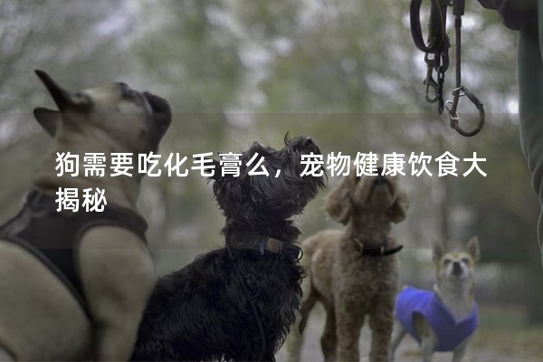狗需要吃化毛膏么，寵物健康飲食大揭秘