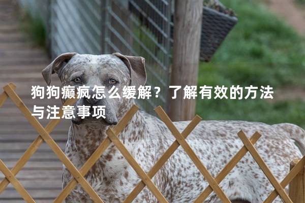 狗狗癲瘋怎么緩解？了解有效的方法與注意事項