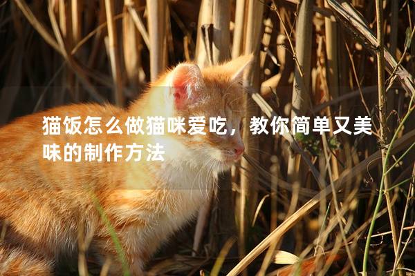 貓飯怎么做貓咪愛吃，教你簡單又美味的制作方法