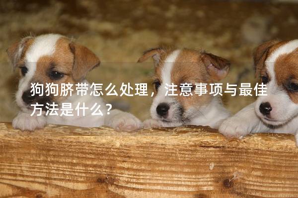 狗狗臍帶怎么處理，注意事項與最佳方法是什么？