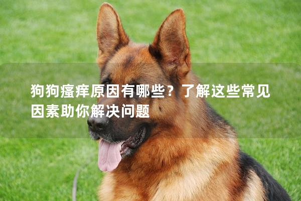 狗狗瘙癢原因有哪些？了解這些常見因素助你解決問題