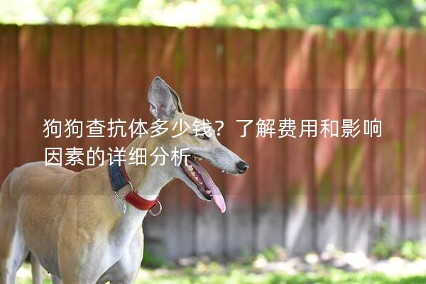 狗狗查抗體多少錢？了解費用和影響因素的詳細分析