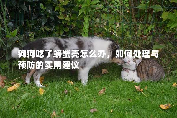 狗狗吃了螃蟹殼怎么辦，如何處理與預防的實用建議