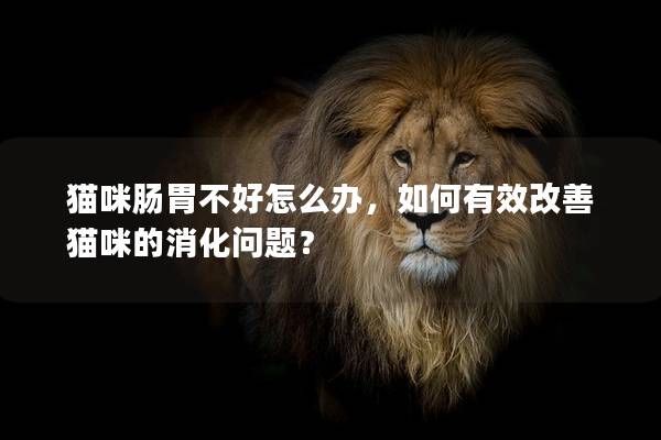 貓咪腸胃不好怎么辦，如何有效改善貓咪的消化問(wèn)題？