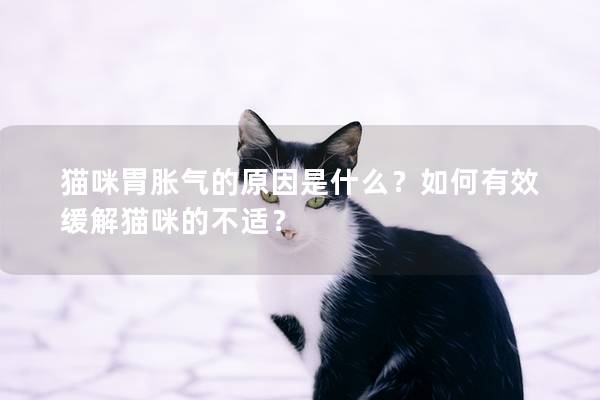 貓咪胃脹氣的原因是什么？如何有效緩解貓咪的不適？