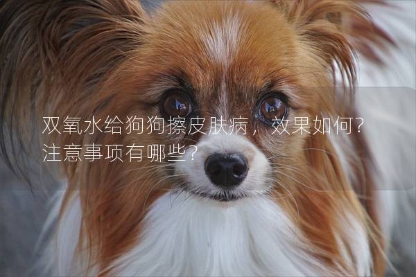 雙氧水給狗狗擦皮膚病，效果如何？注意事項有哪些？