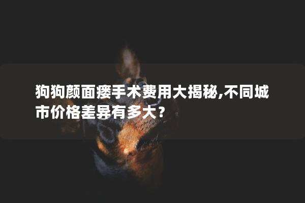 狗狗顏面瘺手術費用大揭秘,不同城市價格差異有多大？