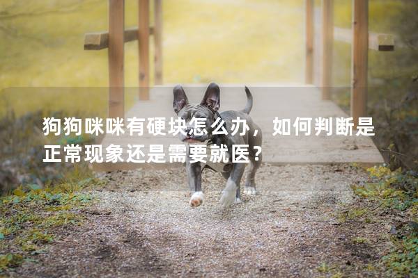 狗狗咪咪有硬塊怎么辦，如何判斷是正常現(xiàn)象還是需要就醫(yī)？