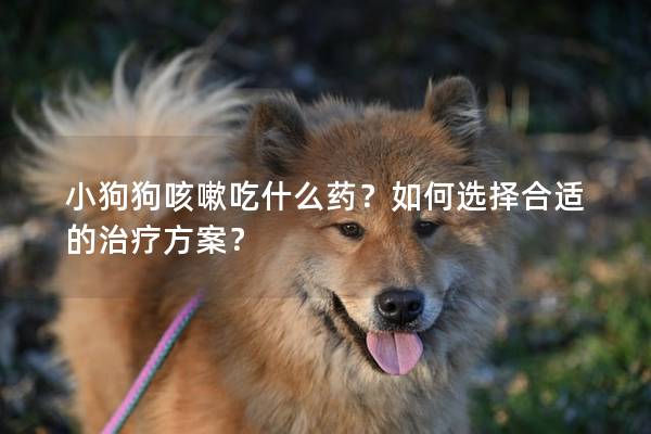 小狗狗咳嗽吃什么藥？如何選擇合適的治療方案？