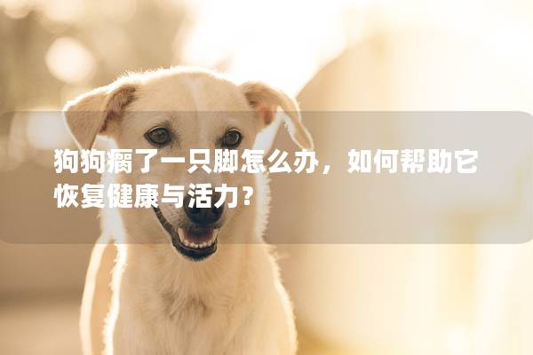 狗狗瘸了一只腳怎么辦，如何幫助它恢復健康與活力？