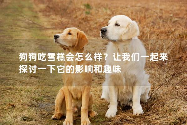 狗狗吃雪糕會怎么樣？讓我們一起來探討一下它的影響和趣味