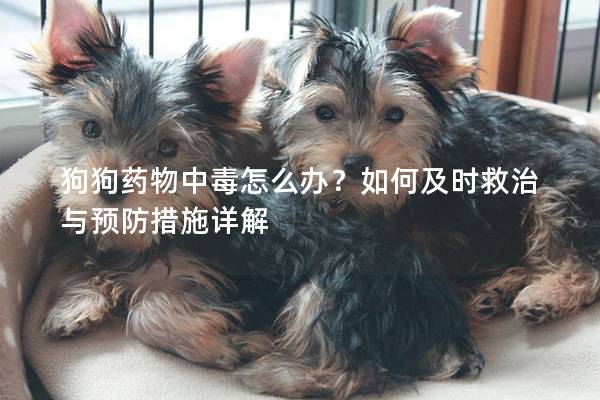 狗狗藥物中毒怎么辦？如何及時救治與預(yù)防措施詳解