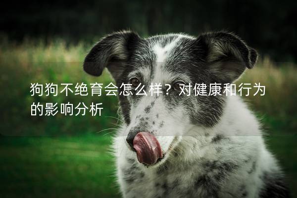 狗狗不絕育會(huì)怎么樣？對(duì)健康和行為的影響分析